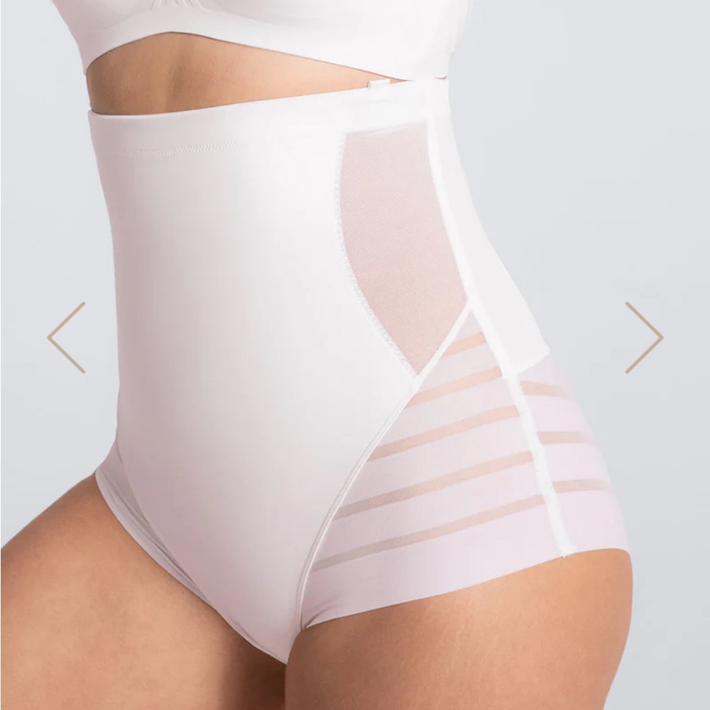 Neverworn Honeylove Queen Brief Shapewear